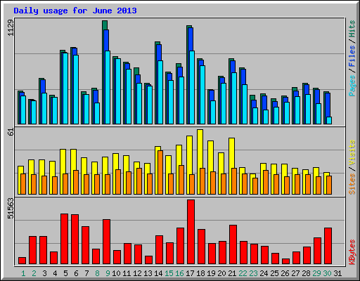 Daily usage for June 2013