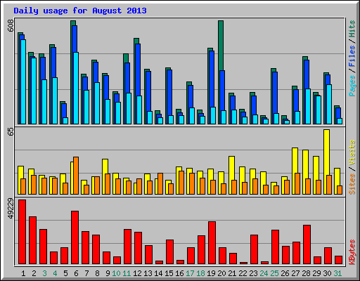 Daily usage for August 2013