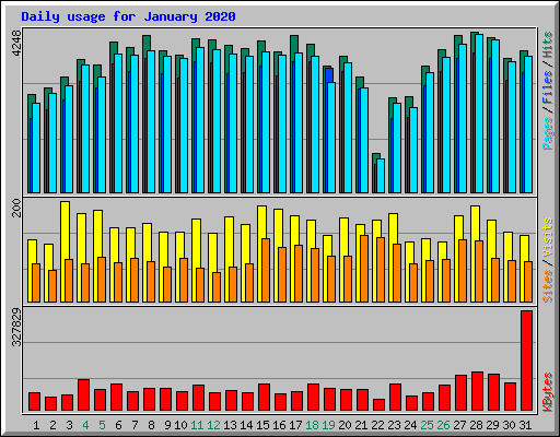 Daily usage for January 2020