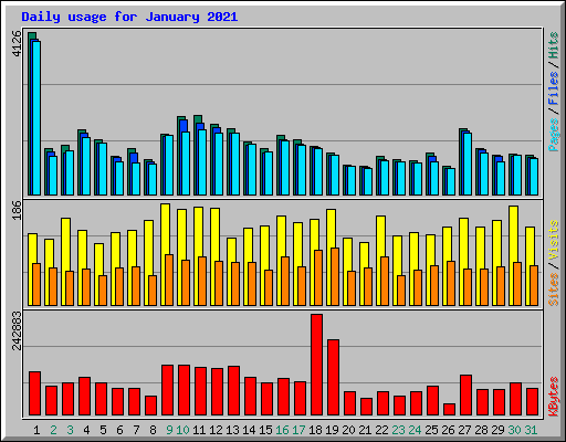 Daily usage for January 2021