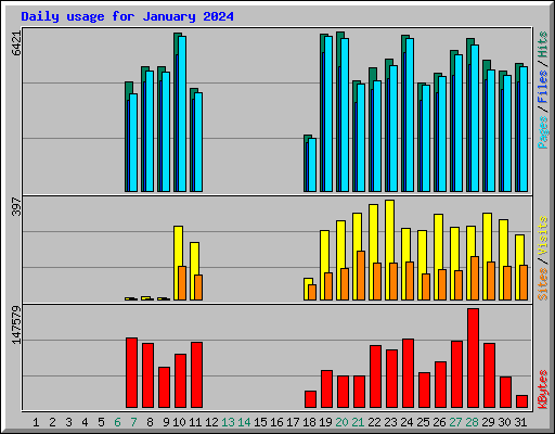 Daily usage for January 2024