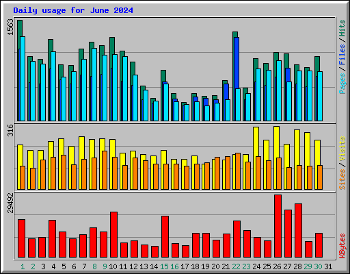 Daily usage for June 2024