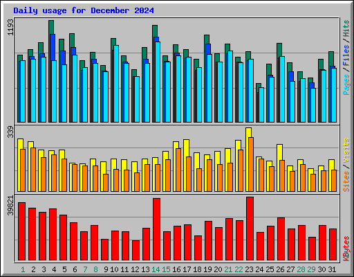 Daily usage for December 2024