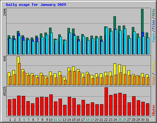 Daily usage for January 2025