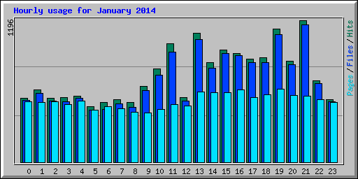 Hourly usage for January 2014