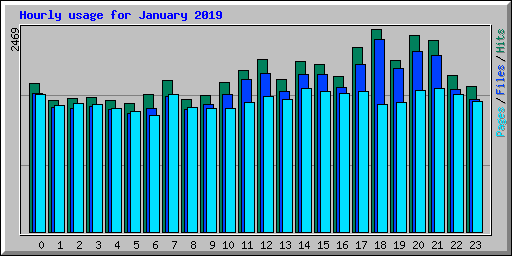 Hourly usage for January 2019
