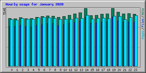 Hourly usage for January 2020