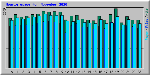 Hourly usage for November 2020