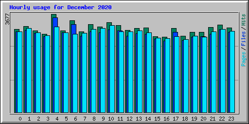 Hourly usage for December 2020