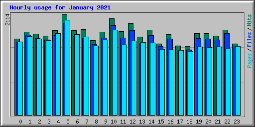 Hourly usage for January 2021