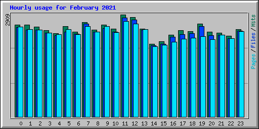 Hourly usage for February 2021