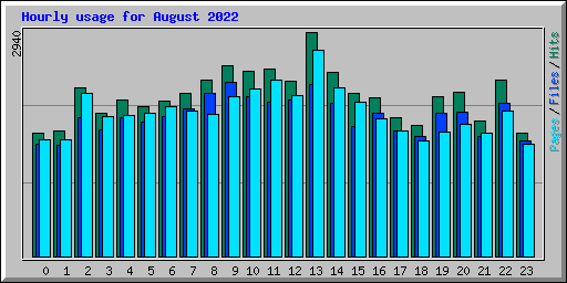 Hourly usage for August 2022