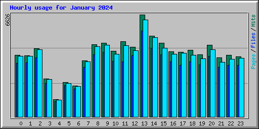 Hourly usage for January 2024