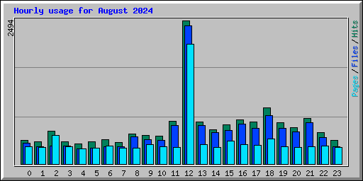 Hourly usage for August 2024