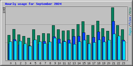 Hourly usage for September 2024