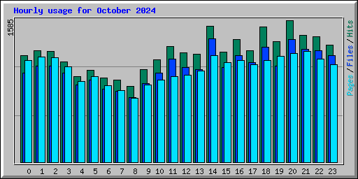 Hourly usage for October 2024