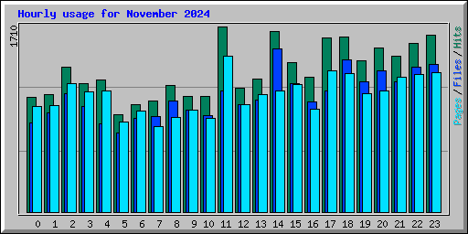 Hourly usage for November 2024