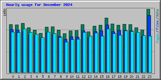 Hourly usage for December 2024