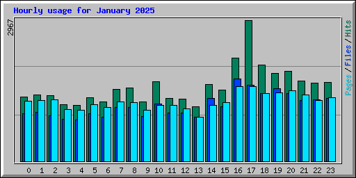 Hourly usage for January 2025