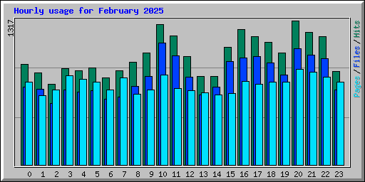 Hourly usage for February 2025