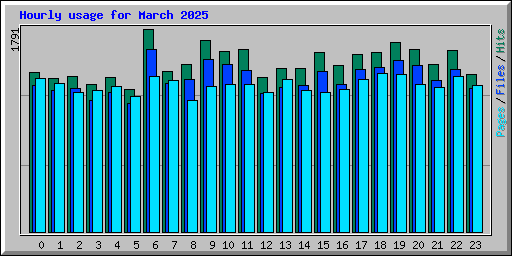 Hourly usage for March 2025