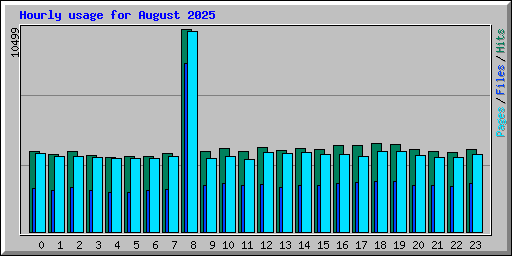 Hourly usage for August 2025