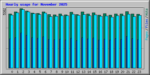 Hourly usage for November 2025
