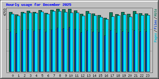 Hourly usage for December 2025