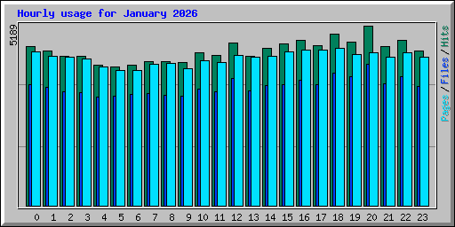 Hourly usage for January 2026