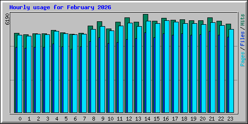 Hourly usage for February 2026