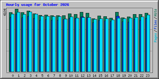 Hourly usage for October 2026
